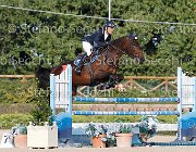 Paini Rosa Cocktail GioCav2013 S6 7679 : Campionati Italiani Giovani Cavalli, Cattolica, Paini Paolo, Rosa Cocktail, ph Stefano Secchi ©